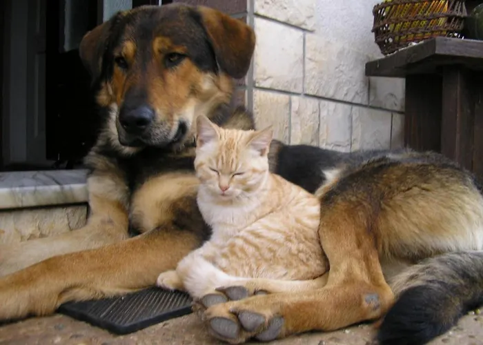 By Interhome * Abbázia