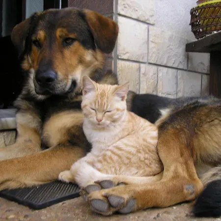 By Interhome * Opatija